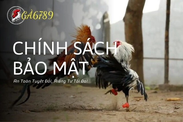 Chính Sách Bảo Mật GA6789: An Toàn Tuyệt Đối, Riêng Tư Tối Đa!