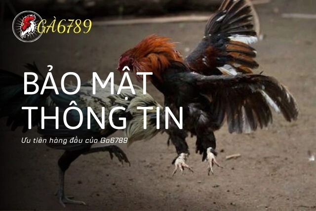 Bảo mật thông tin khách hàng là ưu tiên hàng đầu của Gà6789