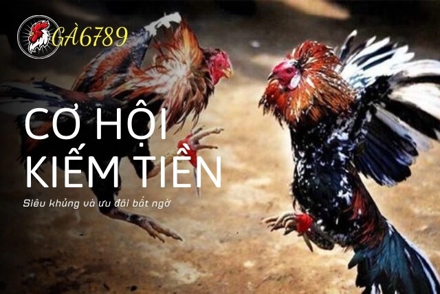 Cơ hội kiếm tiền KHỦNG và ƯU ĐÃI BẤT NGỜ với  Chính Sách Đại Lý Gà6789