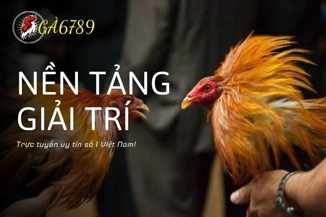 Ga6789 - Nền tảng giải trí trực tuyến uy tín số 1 Việt Nam!