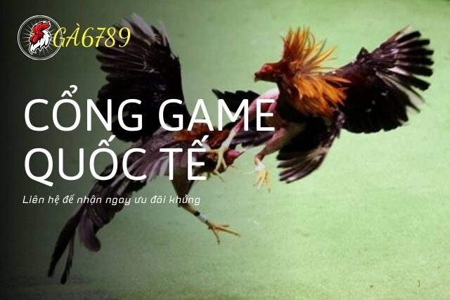 Ga6789 - Cổng game quốc tế, liên hệ để nhận ngay ưu đãi khủng