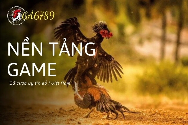 Gà6789 - Nền tảng game, cá cược uy tín số 1 Việt Nam