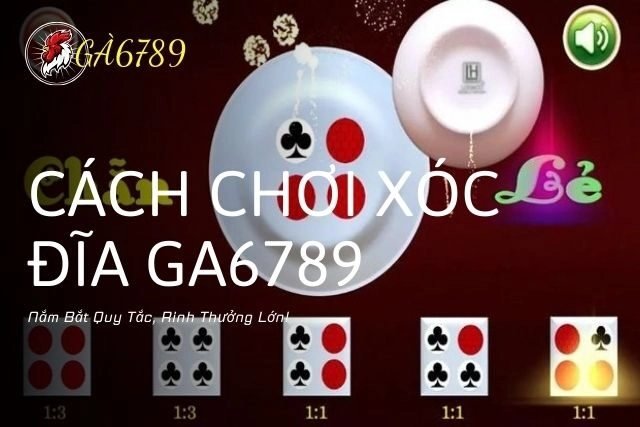 Cách Chơi Xóc Đĩa GA6789 – Nắm Bắt Quy Tắc, Rinh Thưởng Lớn!